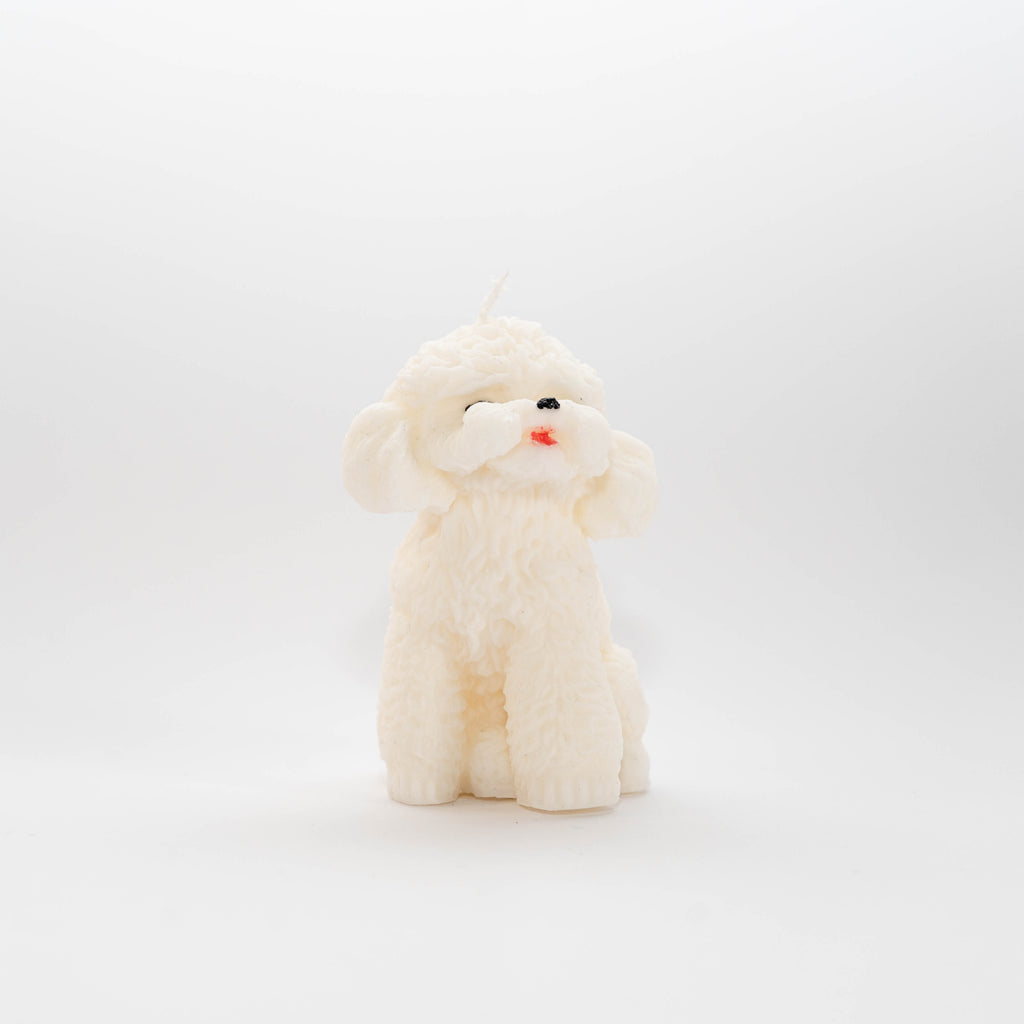 Vela Poodle Love